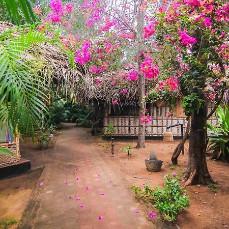 The Palm Trees Resort Patnem Beach Εξωτερικό φωτογραφία